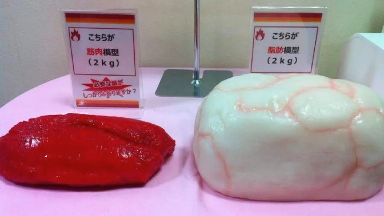 鳥栖市のたまゆら整骨院で<br>何をしても痩せない私が体を見直した話