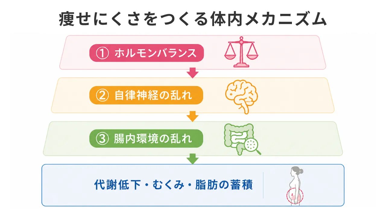 鳥栖市のたまゆら整骨院で<br>何をしても痩せない私が体を見直した話
