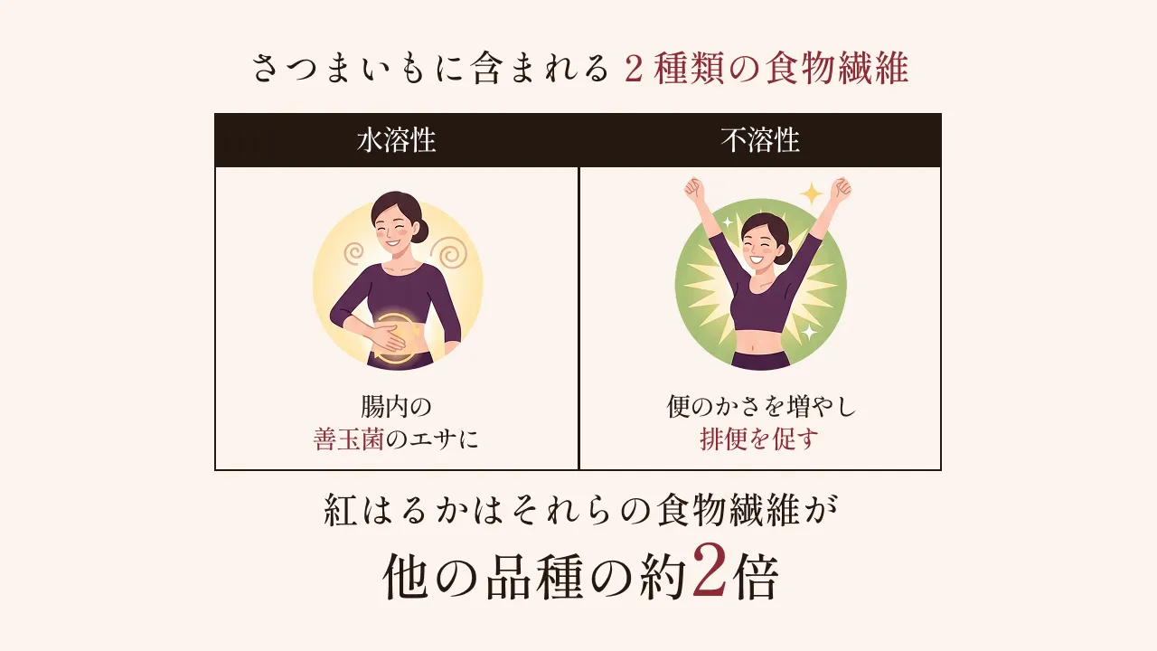 茨城県日立市のこだわりの干し芋に出会った話