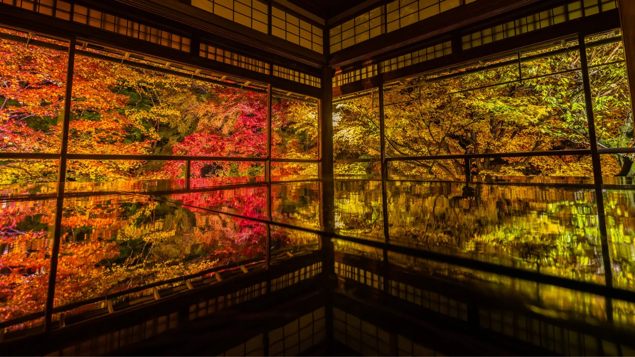 スマホでプロ級の一枚を！絶対に外さない京都「絶景・映えスポット」4選📷✨