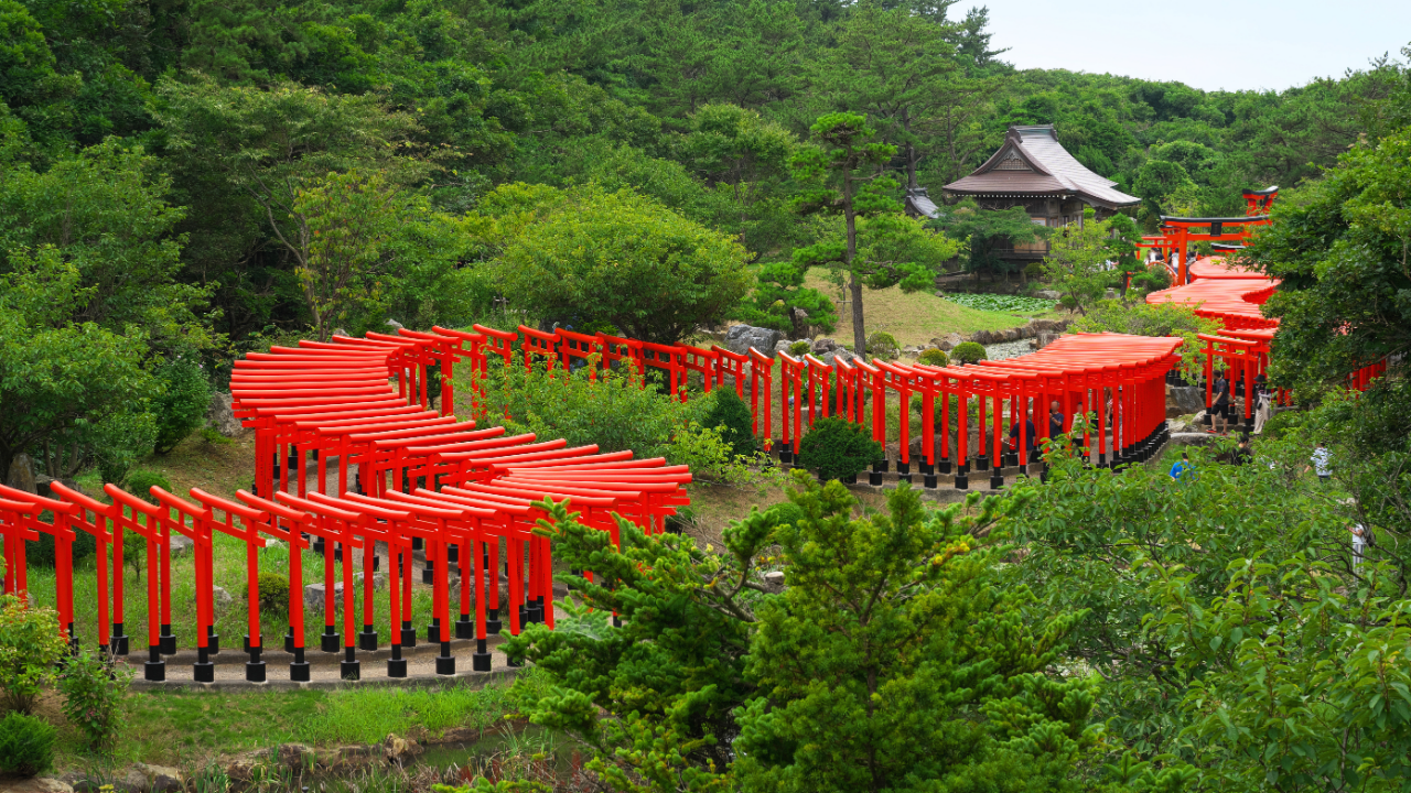 次の休日は神秘を巡る。思わず足を止めたくなる絶景神社へ