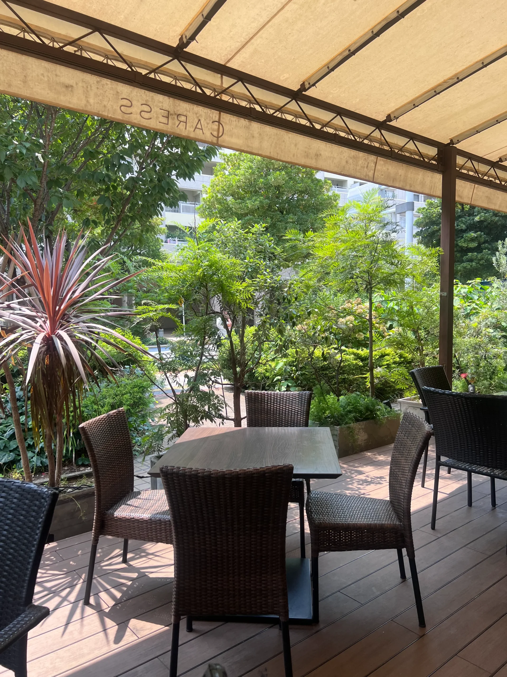 お台場海浜公園駅から徒歩2分！<br>「Restaurant CARESS」でイタリアンランチを楽しんできた🍽️