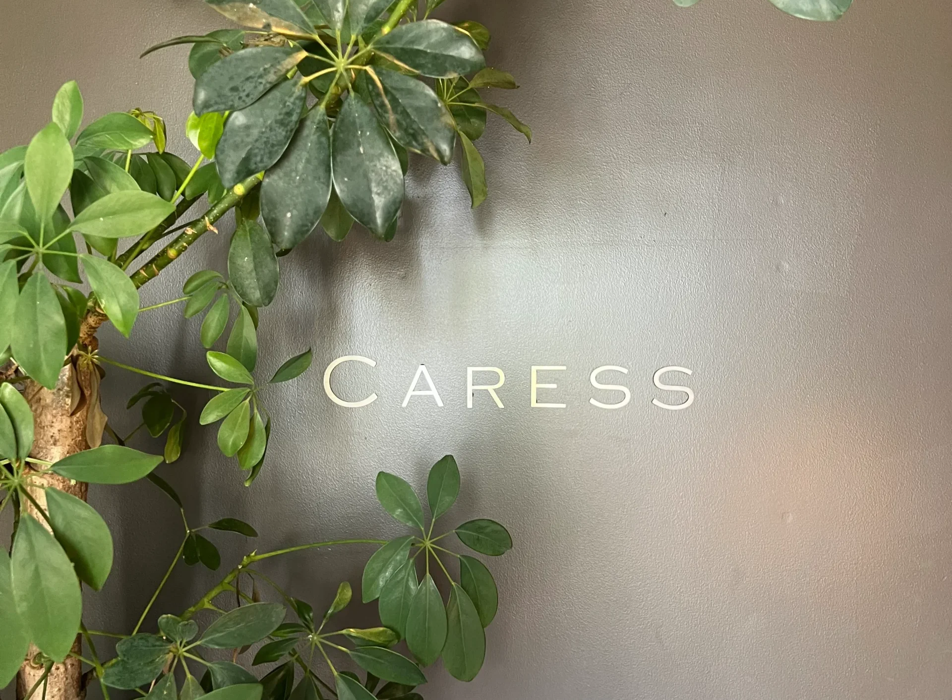 お台場海浜公園駅から徒歩2分！<br>「Restaurant CARESS」でイタリアンランチを楽しんできた🍽️