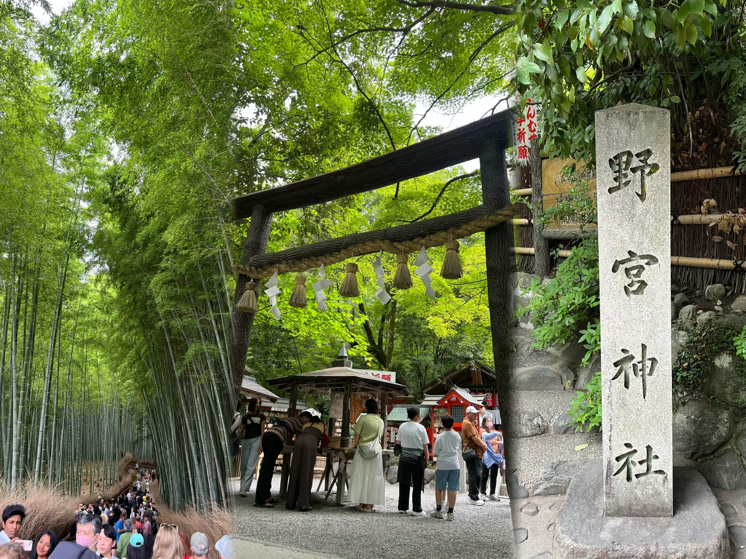 京都で何する？鈴虫寺と嵐山を巡った1日デート⛩️✨
