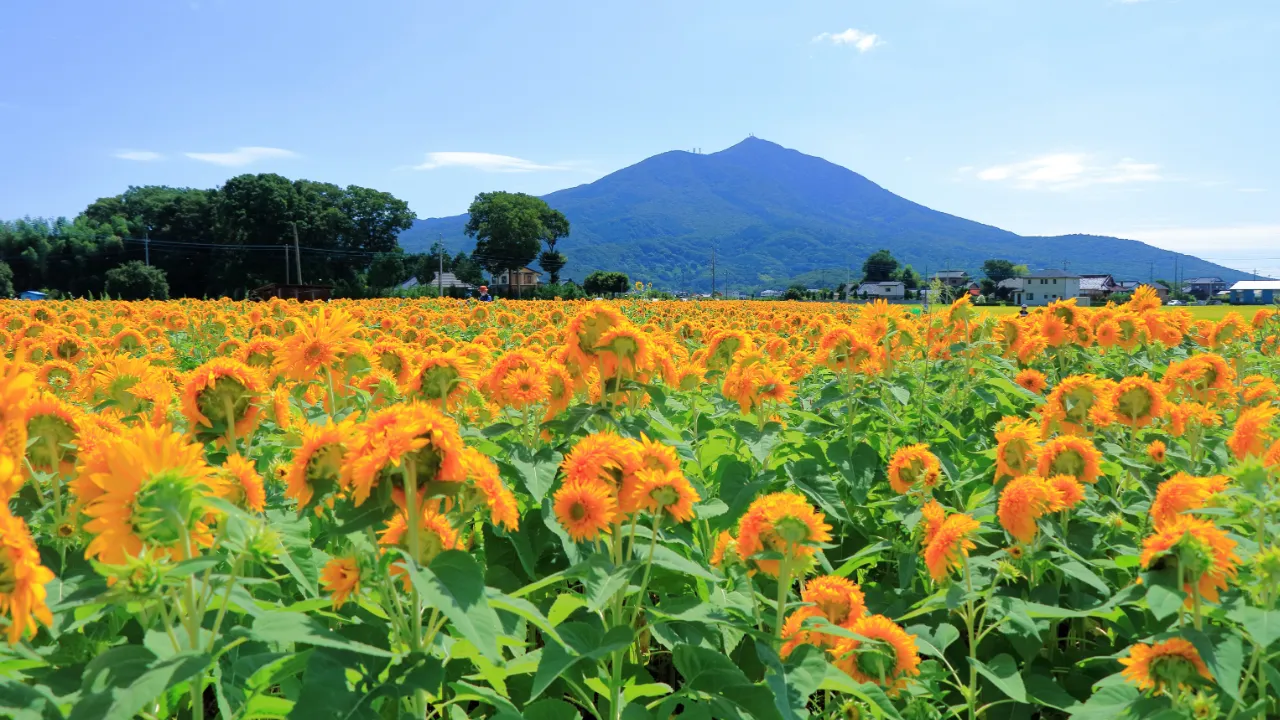 夏だからこそ、ふたりで行きたい。季節を楽しむ週末デート