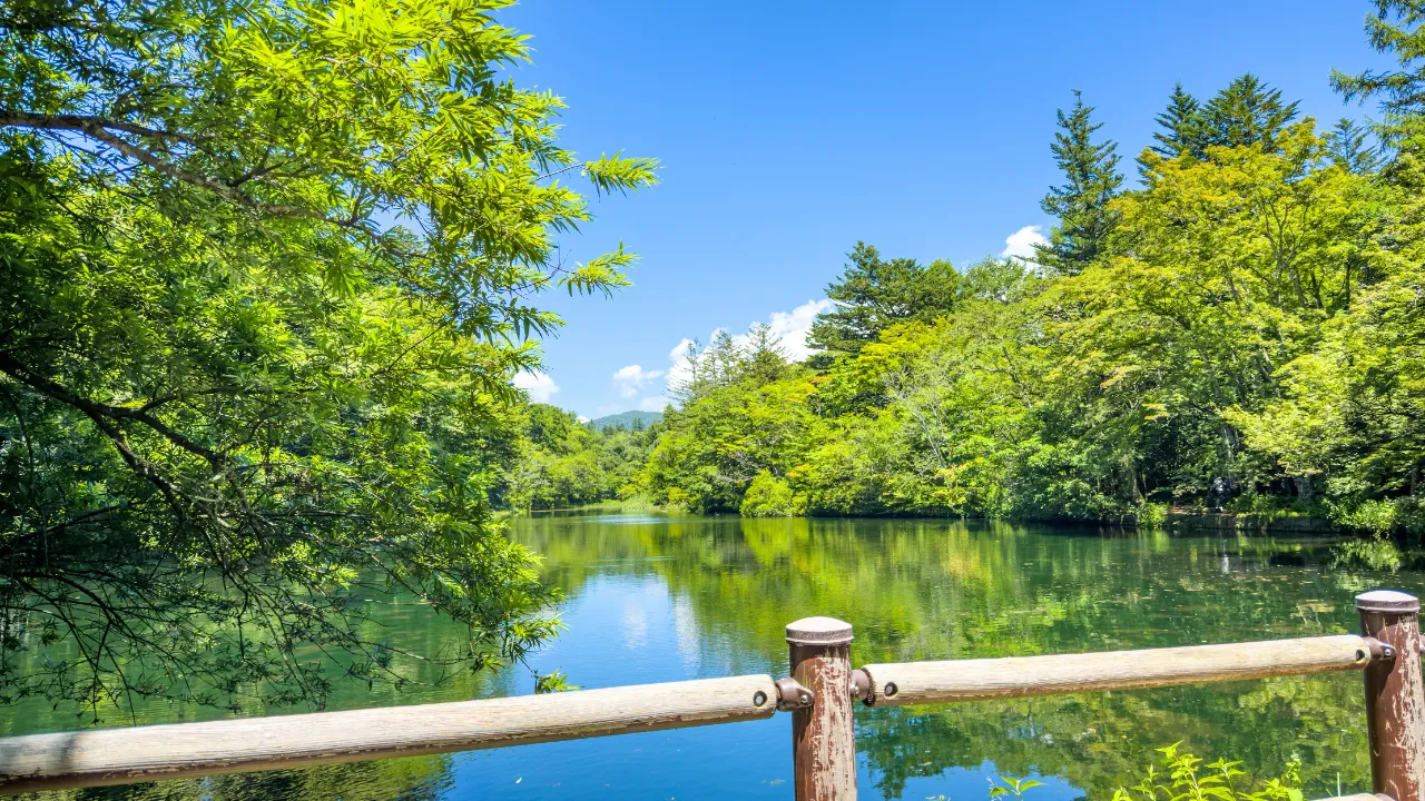 都会の暑さを抜け出して。心も体も涼しくなる、夏の避暑地デート。