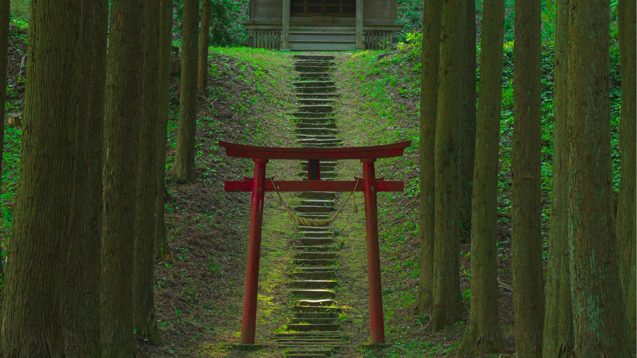 一歩踏み入れたら別世界。まるでジブリな絶景スポットへ