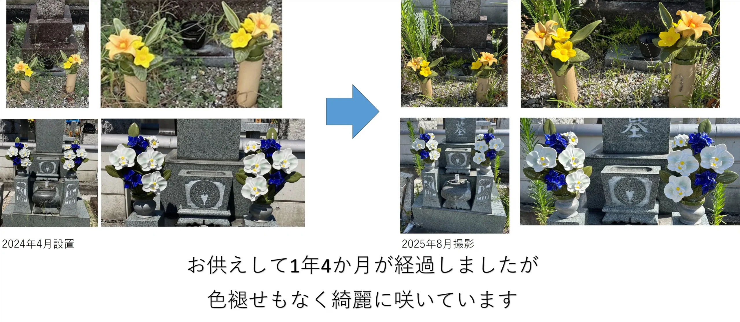 お墓の花、毎回どうしてる？生花の悩みを解消できる？！「カレンヌ」とは