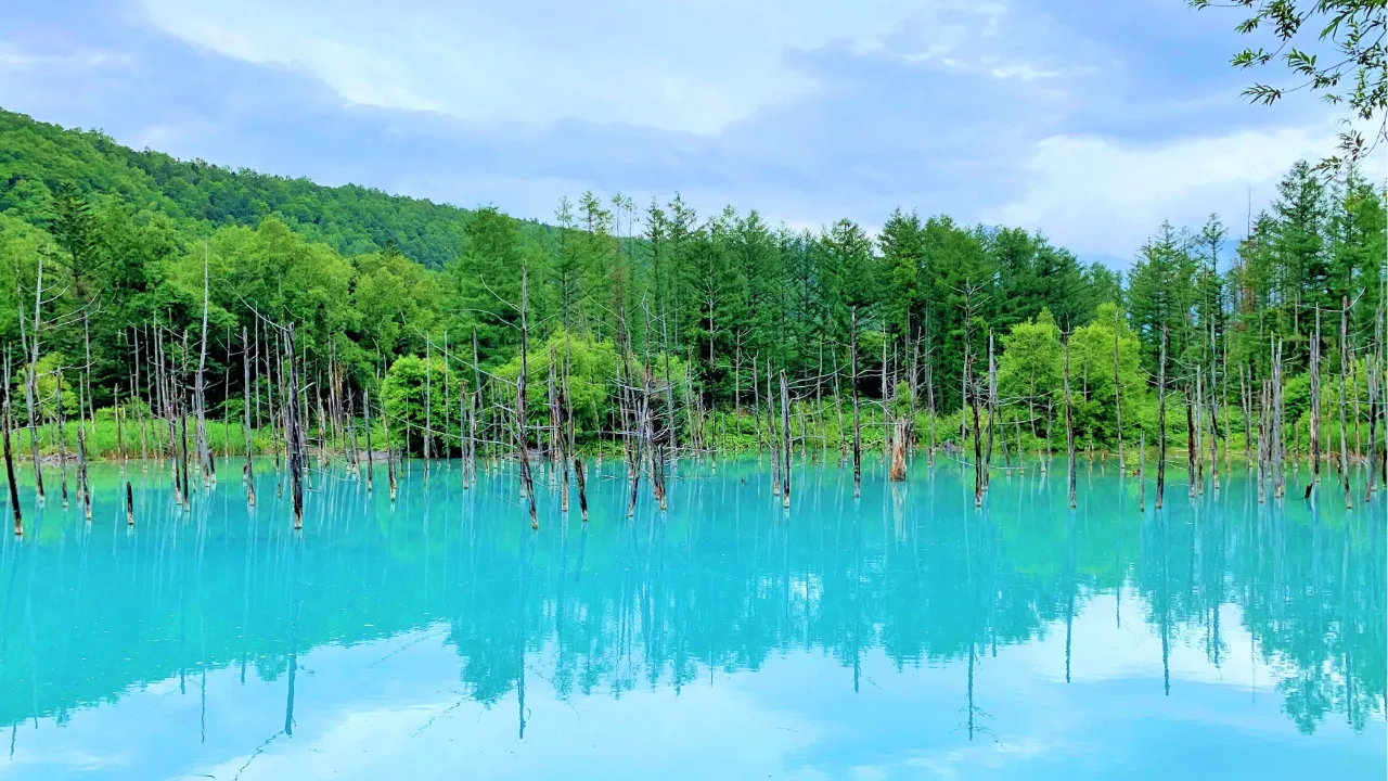 いつか、この目で見たい。人生で一度は訪れたい日本の絶景
