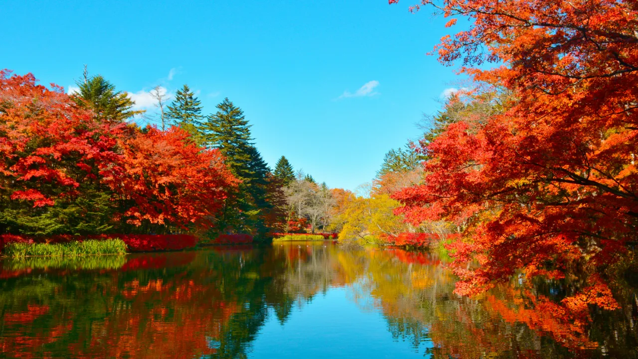 秋色に染まる景色へ。ふたりで巡る紅葉デート。