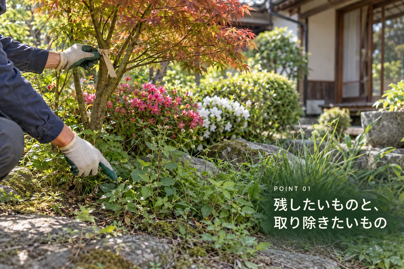 「庭の手入れ、自分ではもう難しい？」庭木の伐採・草刈りで見積もり前に整理したいこと