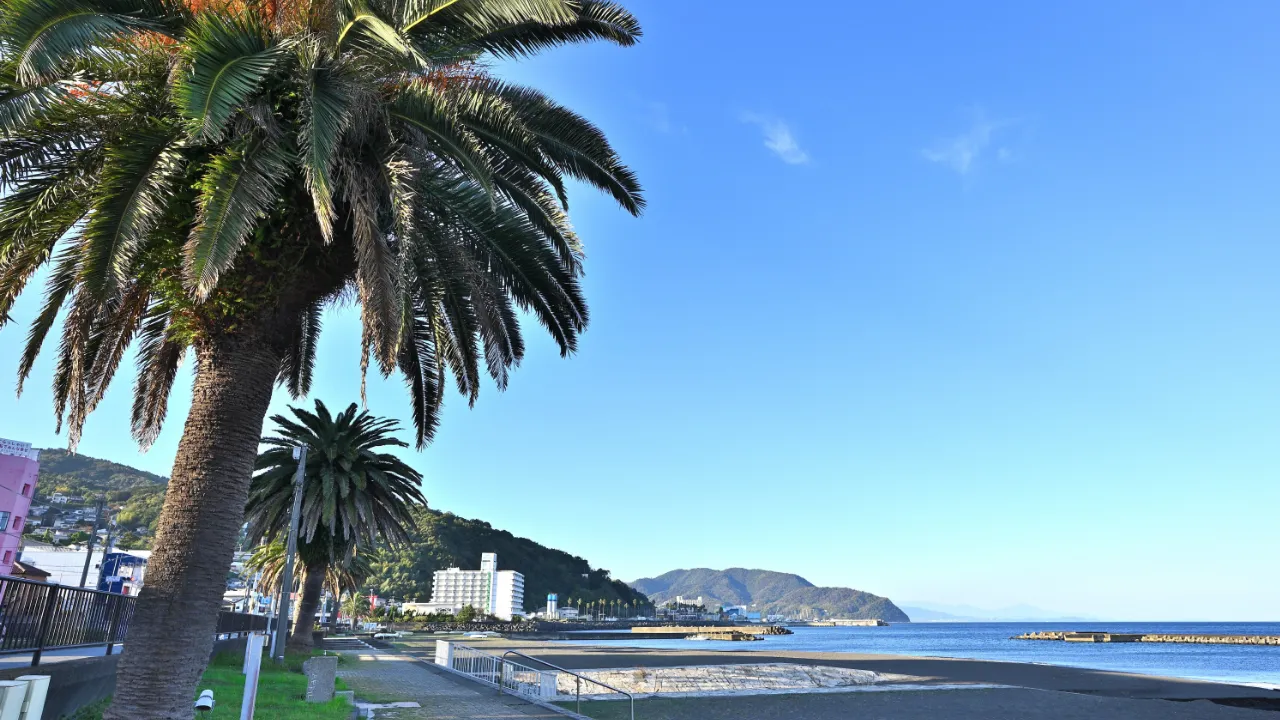 海と温泉街に癒されて。ふたりで巡る伊東の週末デート。